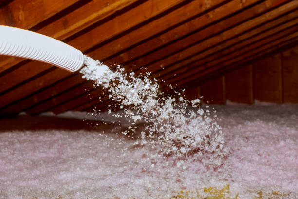 Best DIY Insulation Kits and Guidance in Woodstock, VA
