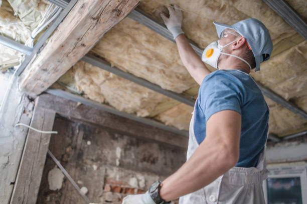 Best Blown-in Insulation in Woodstock, VA