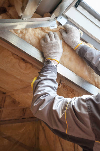 Best Cellulose Insulation in Woodstock, VA