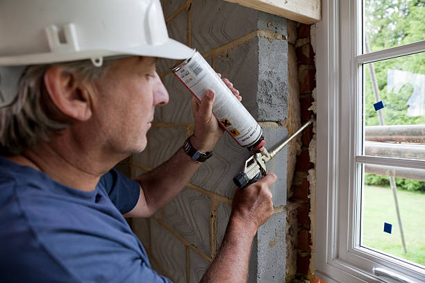 Best Specialized Insulation Services in Woodstock, VA