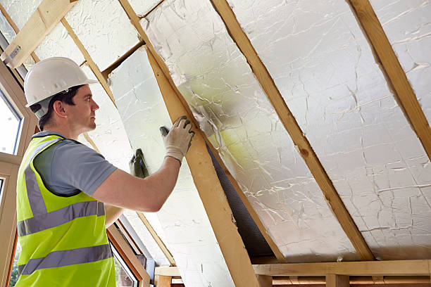 Best Commercial Insulation in Woodstock, VA