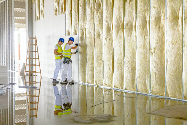 Best Commercial Insulation in Woodstock, VA